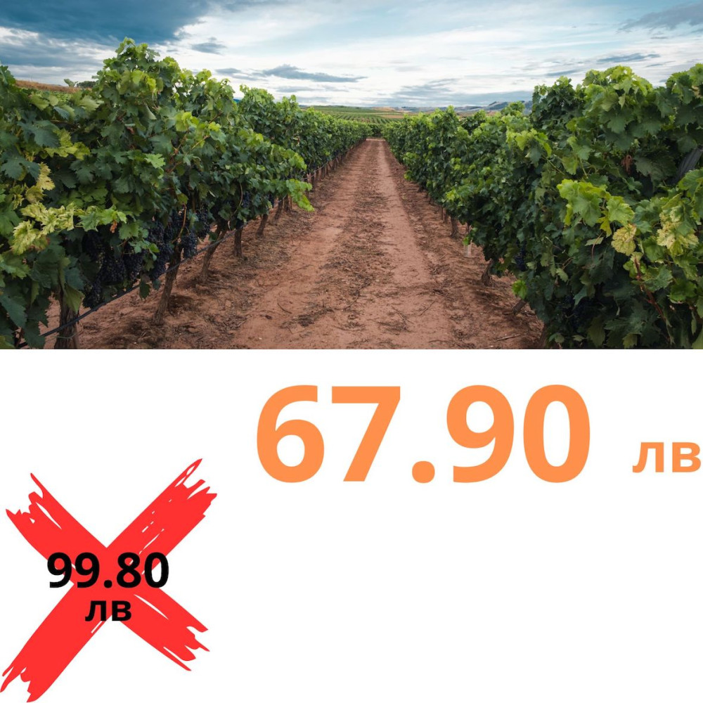 Външна WiFi камера с микрофон, нощно виждане и следене на движение, слот за TF карта, 2MP - Q5-20W