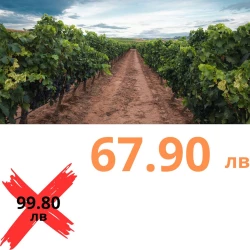 Външна WiFi камера с микрофон, нощно виждане и следене на движение, слот за TF карта, 2MP - Q5-20W